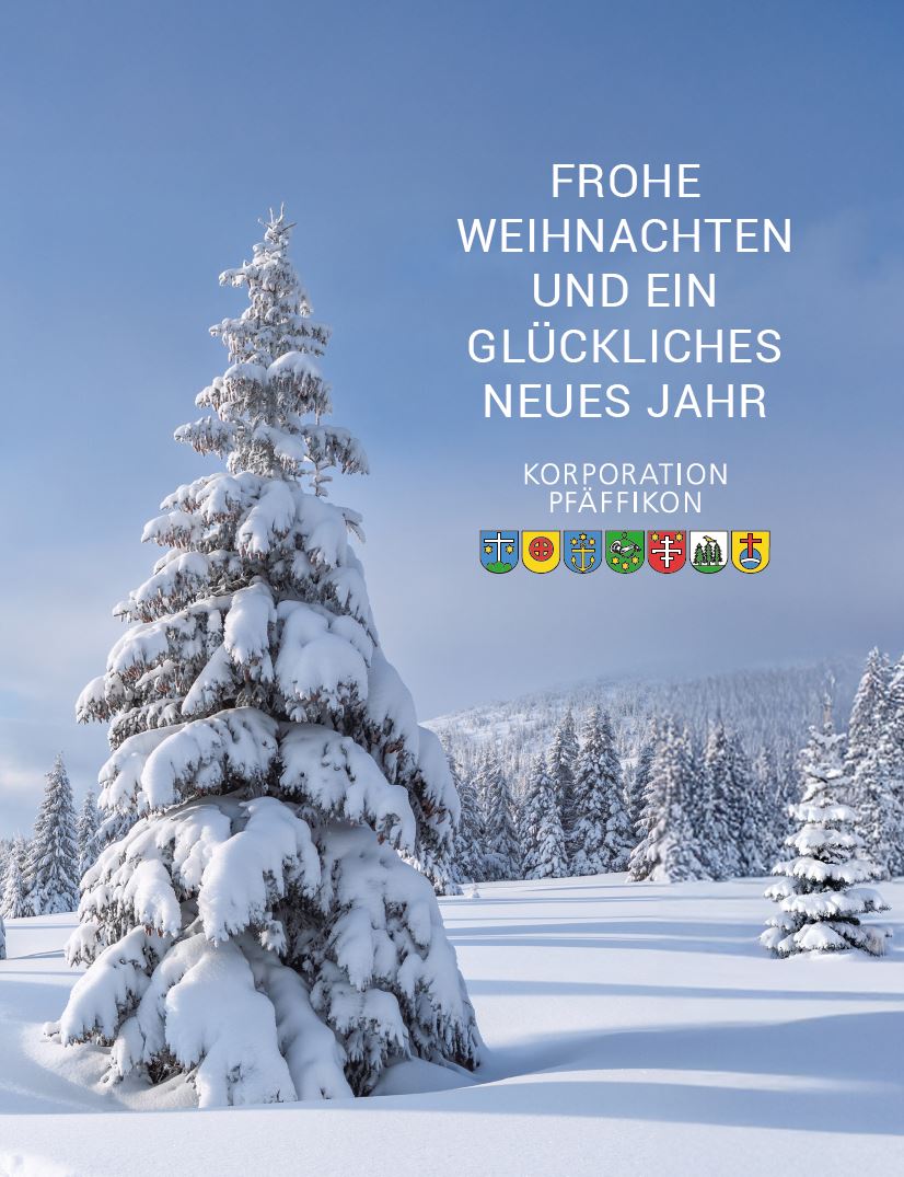 Christbaumverkauf der Korporation Pfäffikon ab 17. Dezember